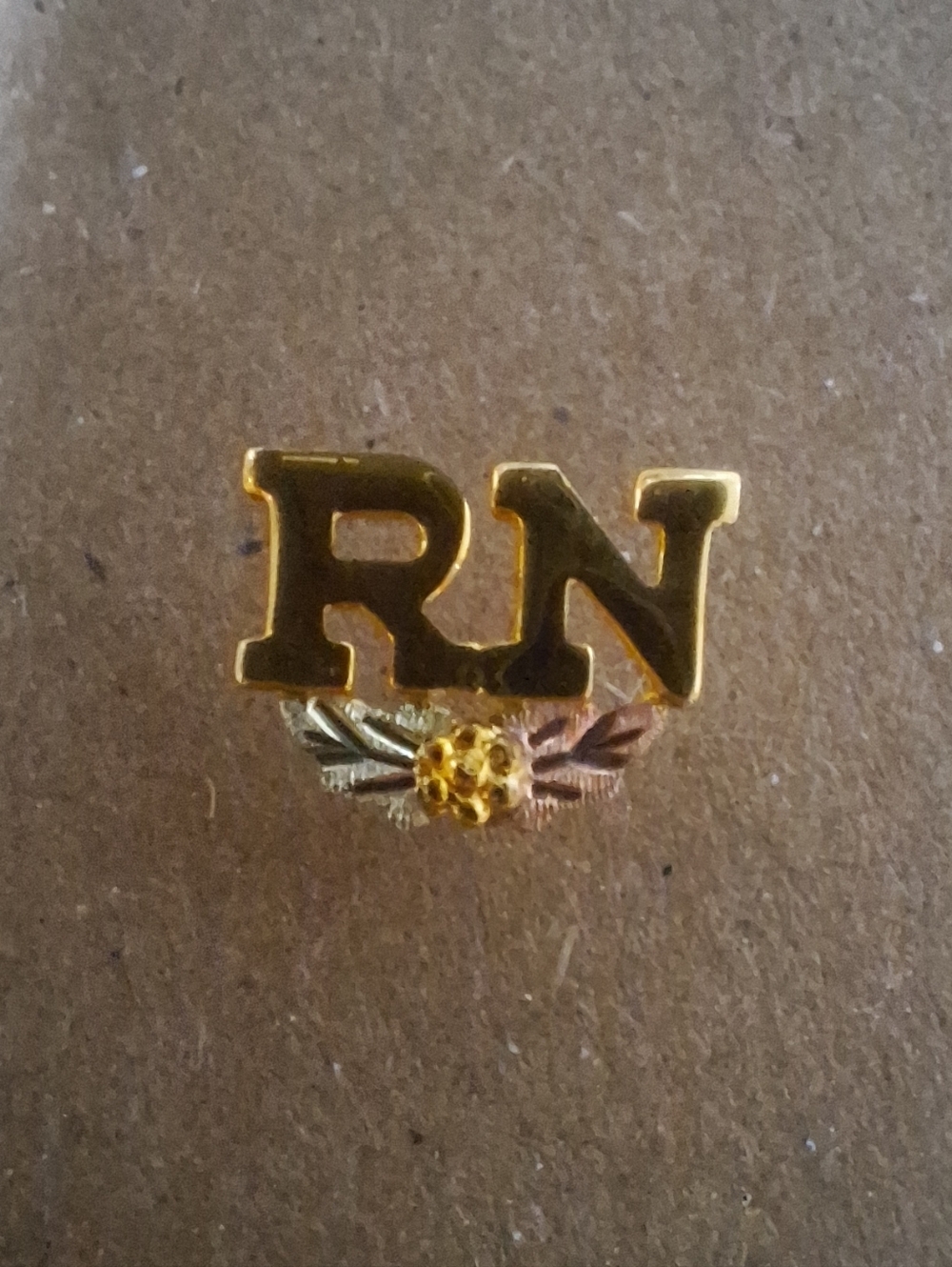 Black Hills Gold RN Nurse Pin G597 10K Gold Retired/Unavailable - Picture 9 of 9